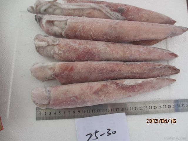 frozen squid