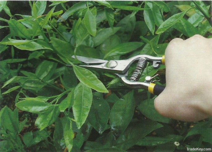 Forged Bypass Pruner, Pruning Tools,