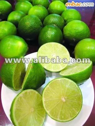 fresh lime importers,fresh lime buyers,fresh lime importer,buy fresh lime,fresh lime buyer,import fresh lime,fresh lime suppliers,