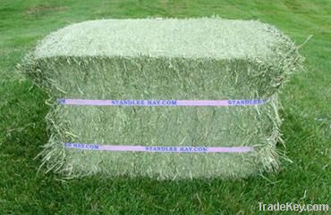 Alfalfa hay in bales and pellets