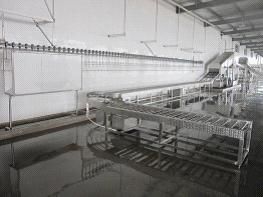 Poultry Processing Equipment -Live Birds Reception-Crate Conveyor 