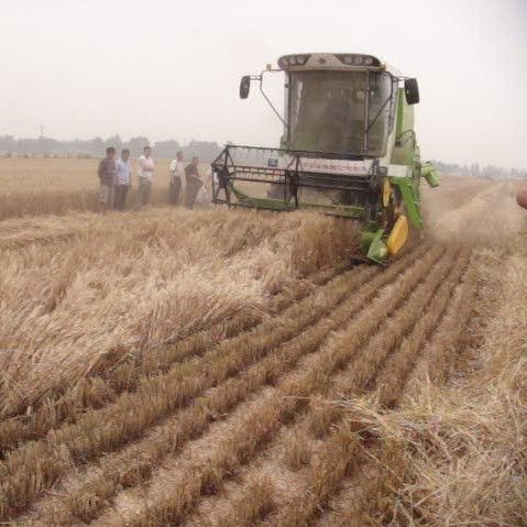 mini grain wheat rice harvester 4LZ-2 2018 of 67kw engine