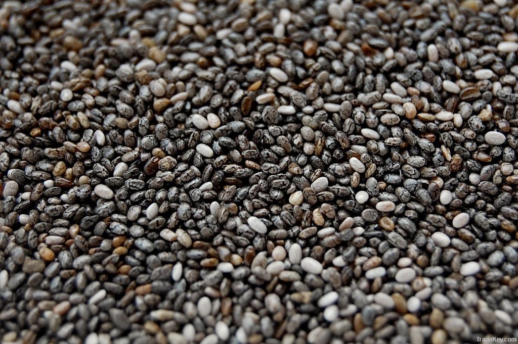 Chia seeds, Raisin, Coca seed, Hemp seed oil, CBD Seed Oregon, Hemp seed