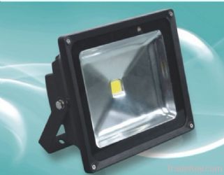 LED Flood Light