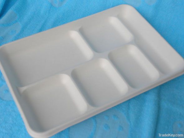 Disposable tray