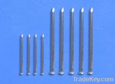 Common Nail with cheapest price