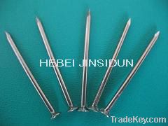 Common Nail with cheapest price