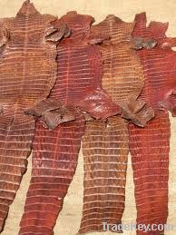 Animal Skins / Hides