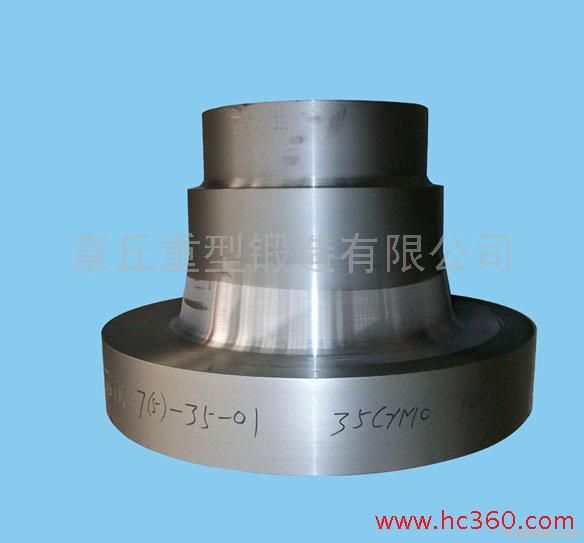 Steel forgings-Petroleum fittings