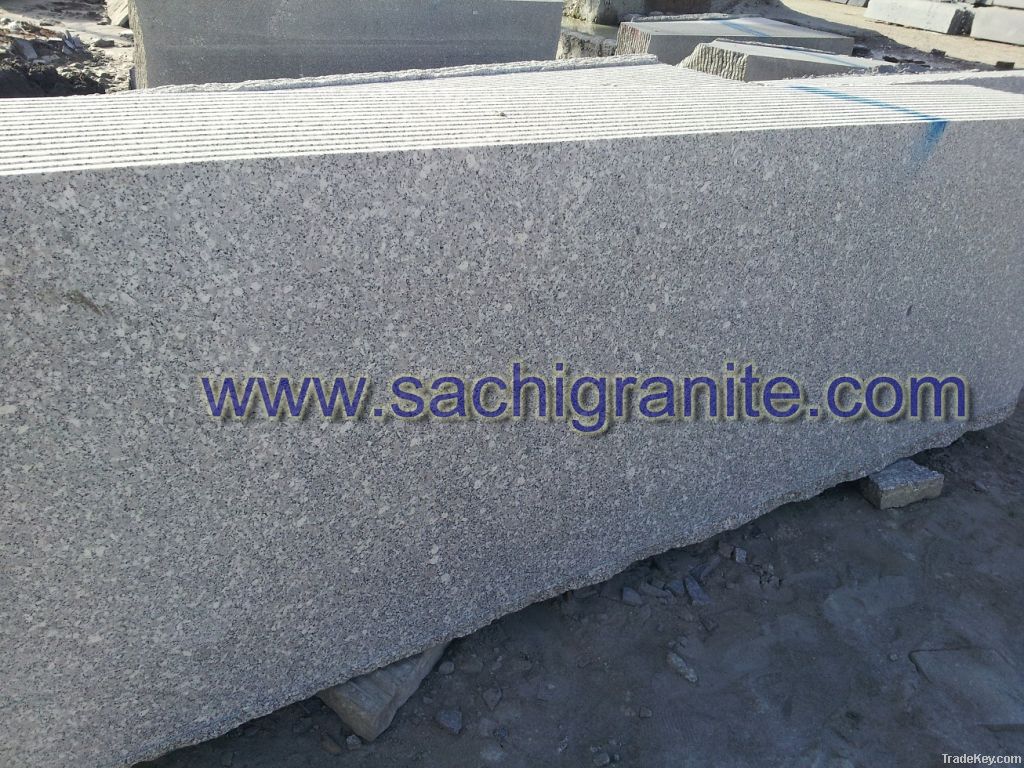 Granite Vietnam SL White 01