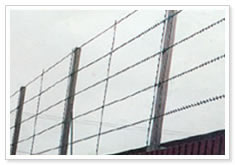 razor wire  mesh fencing