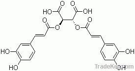 Echinacea Purpurea extract