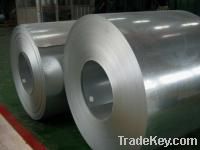 Hot Dipped galvanized steel coil