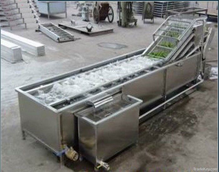 Fruit Washing Machine