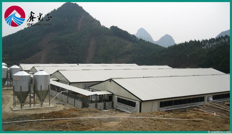 high steel structure poultry shed