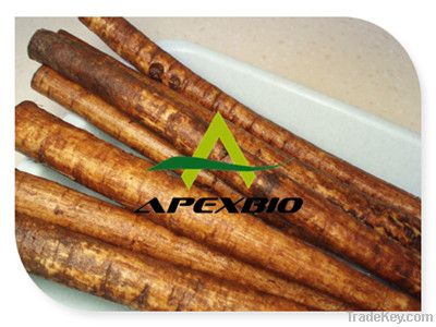 Burdock root extract Arctiin10%, 20%, 40%