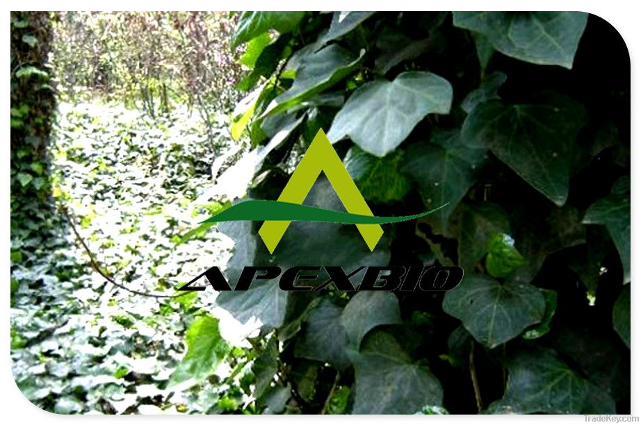 Ivy Extract(1-10%hederocosides, HPLC, hederagenin1%-5%, HPLC)