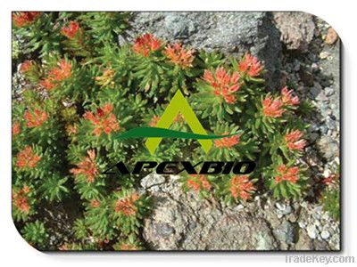 Rhodiola Rosea Extract Powder