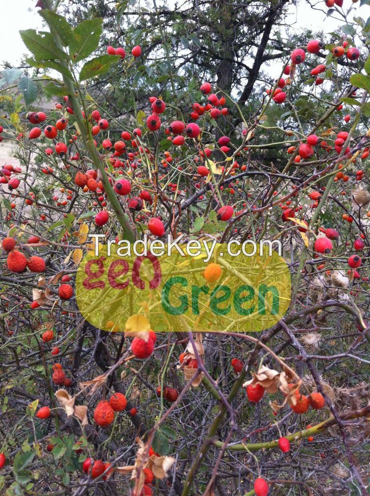 Dried Rosehip