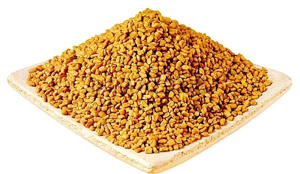 Fenugreek Seed