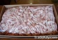 Export Chicken Paw | Chicken Feet Suppliers | Chicken Paw Exporters | Chicken Feets Traders | Processed Chicken Paw Buyers | Frozen Chicken Paw Wholesalers | Low Price Freeze Chicken Paw | Best Buy Chicken Paw | Buy Chicken Paw | Import Chicken Paw | Chic