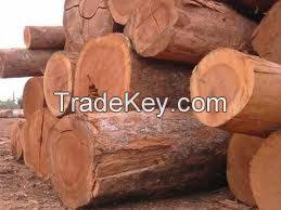 TEAK , MAHOGANY, GUANANDI LOGS WOODS (20 YEARS OLD)READY TO LOADING AT THE PORT