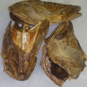 stockfish