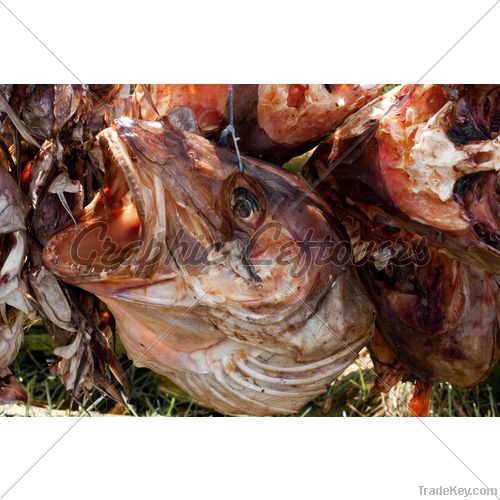 stockfish