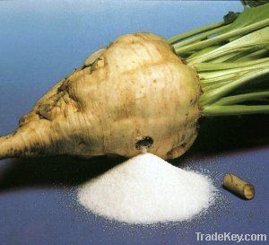 Beet Sugar with EUR 1 & T2L EXW/DAP