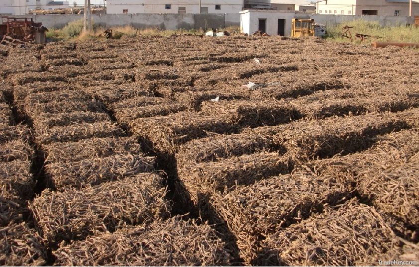 Afghanistan Licorice Root Stick/Pressed