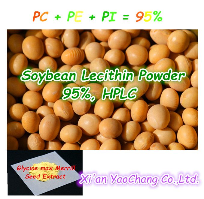 Soybean Lecithin Powder  95%, HPLC