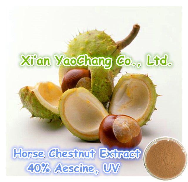 Horse Chestnut Extract Powder -- 20%&amp;40% Aescine, UV