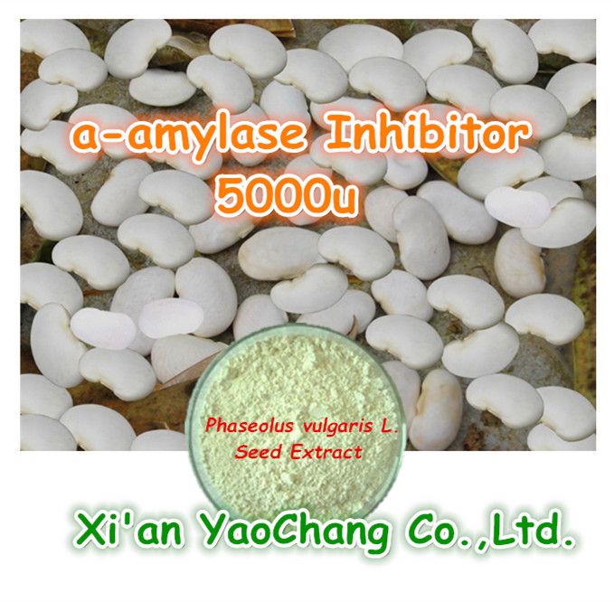 a-amylase Inhibitor  5000u-White Kidneybeans Extract Powder- For weight Losses