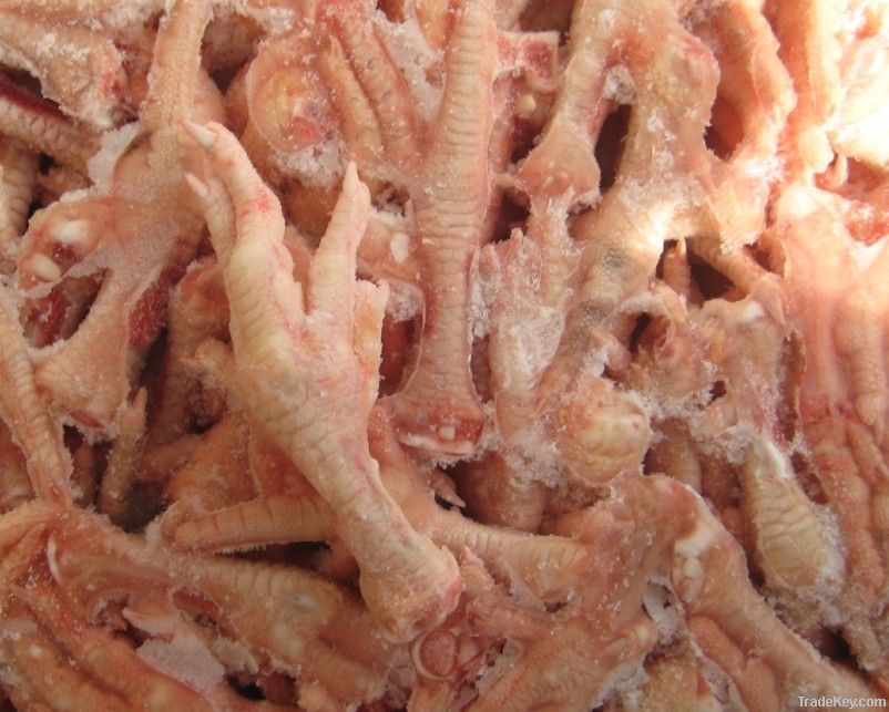 Export Chicken Paw | Chicken Feet Suppliers | Poultry Feet Exporters | Chicken Feets Traders | Processed Chicken Paw Buyers | Frozen Poultry Paw Wholesalers | Low Price Freeze Chicken Paw | Best Buy Chicken Paw | Buy Chicken Paw | Import Chicken Paw | Chi