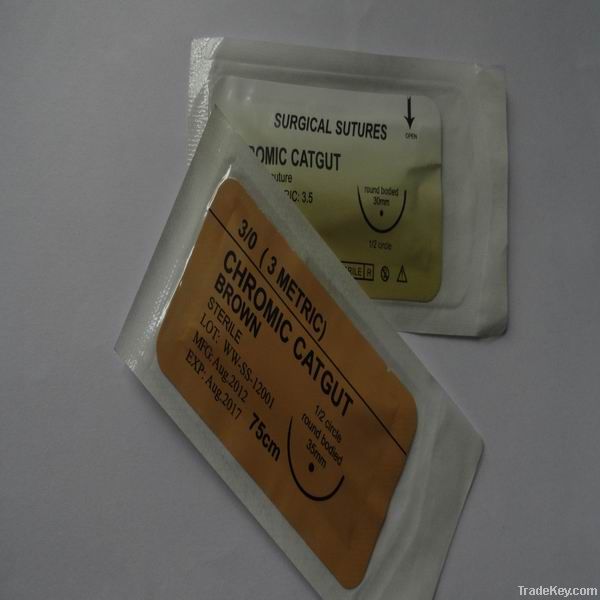 absorbable plain catgut suture with needle