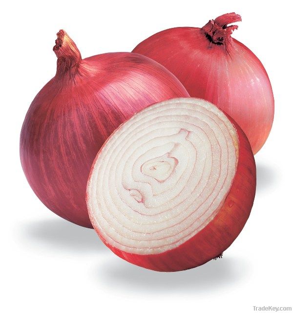 Fresh Red Onion