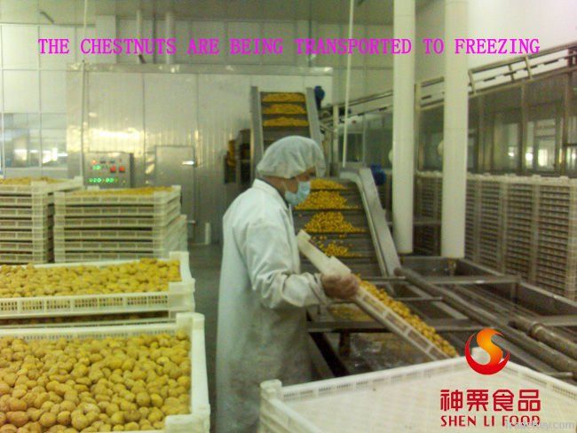 Frozen Chestnut with best price and quality