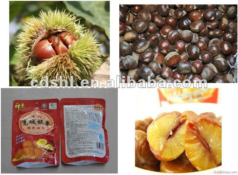 Organic Roasted Chestnuts with Pack(For USA Export)