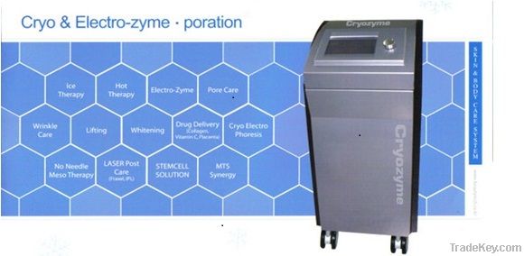 Cryo-Zyme