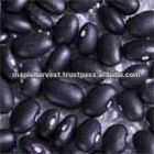  Black Beans