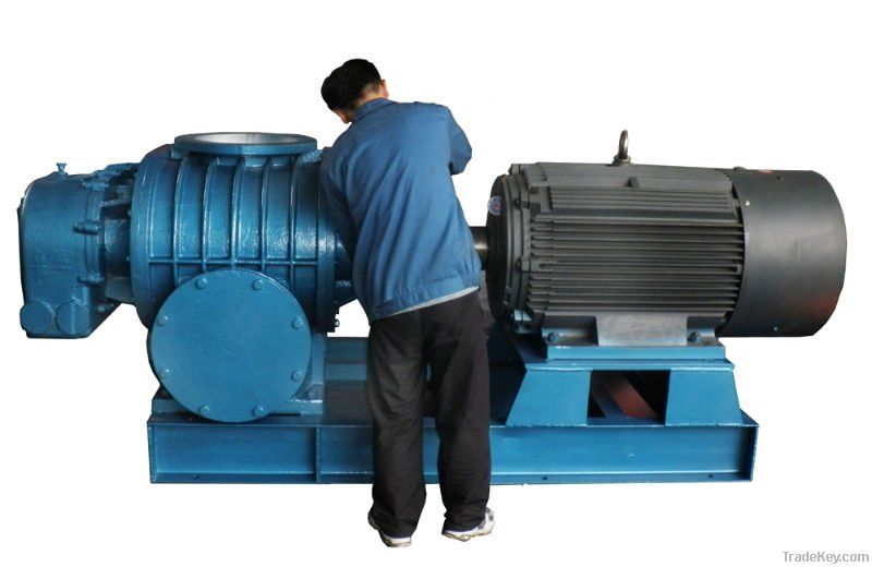 The supply of Roots blower of sewage treatment equipment