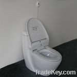 Automatic Inductor Toilet Seat