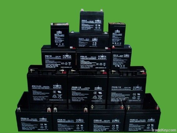Valve Regulated Lead Acid (VRLA) Battery