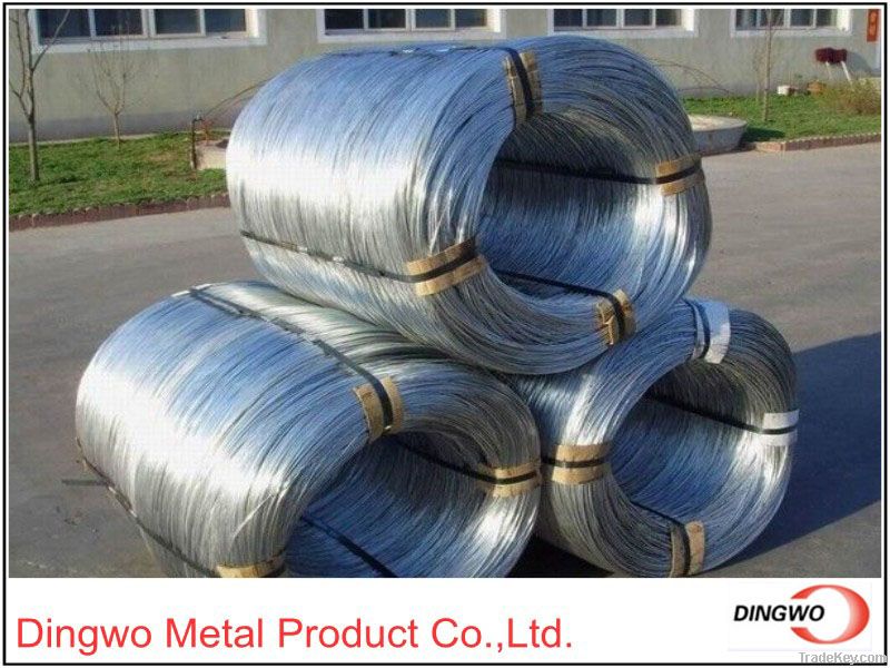 Galvanized  Wire