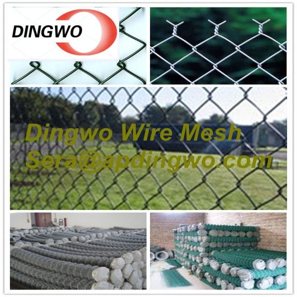 Chain link fence(Factory)