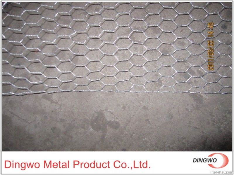 hexagonal wire netting