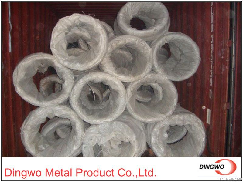 Galvanized  Wire