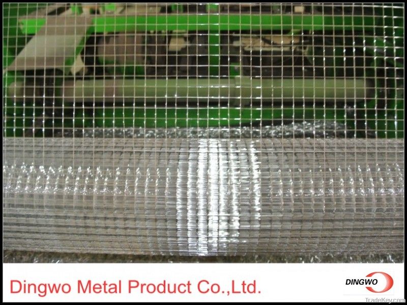 Welded Wire Mesh