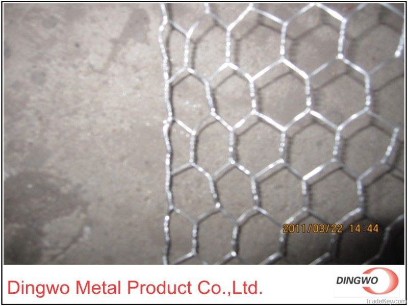 hexagonal wire netting