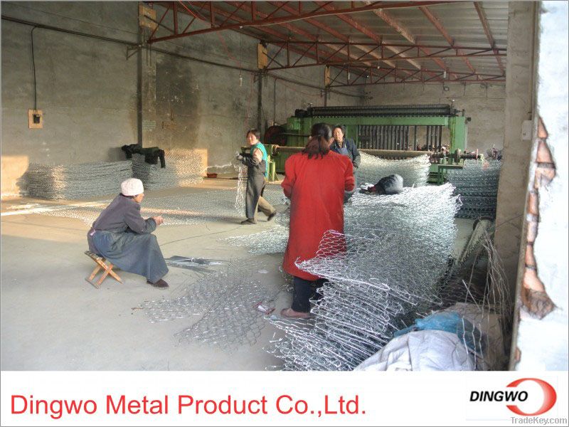 hexagonal wire netting